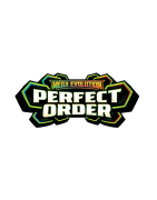 Mega Evolution—Perfect Order